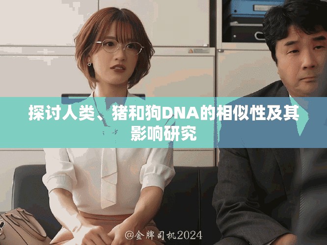 探讨人类、猪和狗DNA的相似性及其影响研究