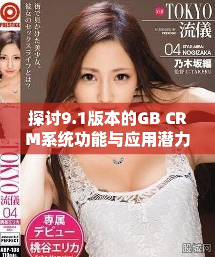 探讨9.1版本的GB CRM系统功能与应用潜力分析