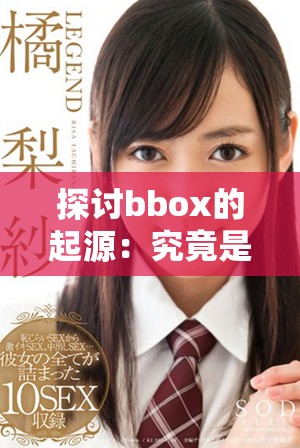 探讨bbox的起源：究竟是哪一个国家最早创造了这一概念