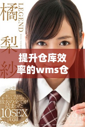 提升仓库效率的wms仓库管理软件介绍与使用指南
