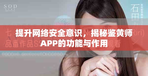 提升网络安全意识，揭秘鉴黄师APP的功能与作用