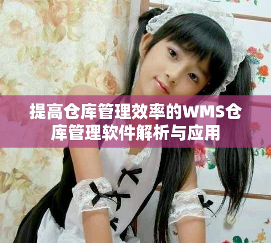 提高仓库管理效率的WMS仓库管理软件解析与应用