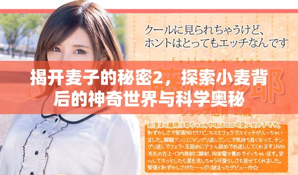 揭开麦子的秘密2，探索小麦背后的神奇世界与科学奥秘