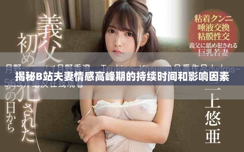 揭秘B站夫妻情感高峰期的持续时间和影响因素