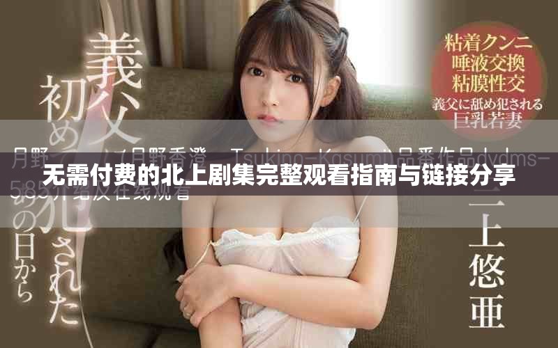 无需付费的北上剧集完整观看指南与链接分享