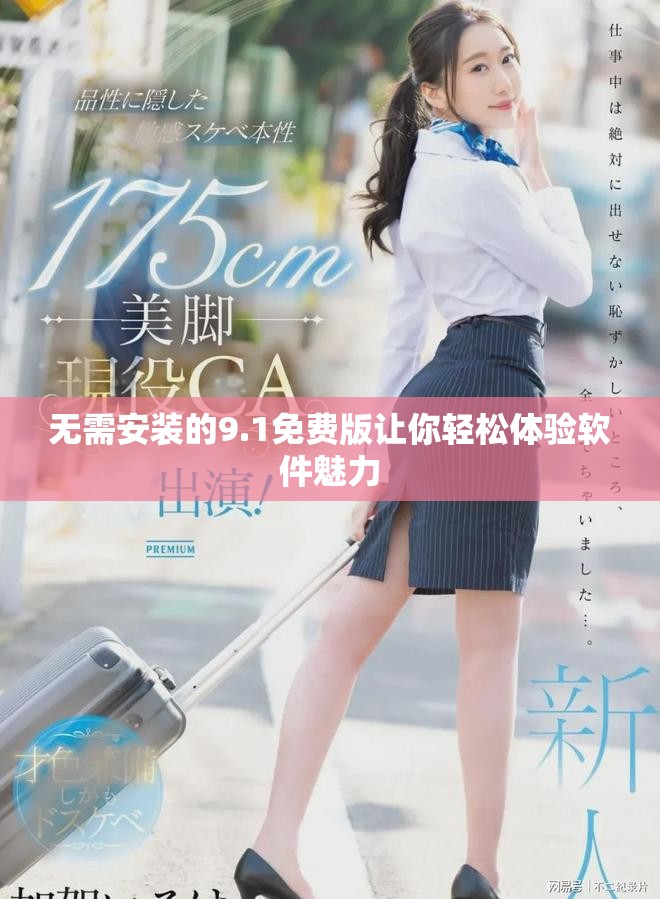 无需安装的9.1免费版让你轻松体验软件魅力
