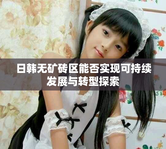 日韩无矿砖区能否实现可持续发展与转型探索