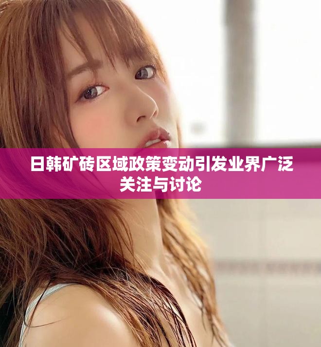 日韩矿砖区域政策变动引发业界广泛关注与讨论