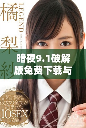 暗夜9.1破解版免费下载与安装指南，轻松获取全新体验
