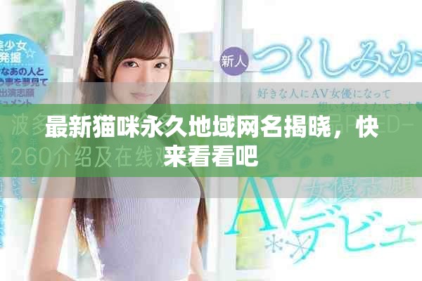 最新猫咪永久地域网名揭晓，快来看看吧