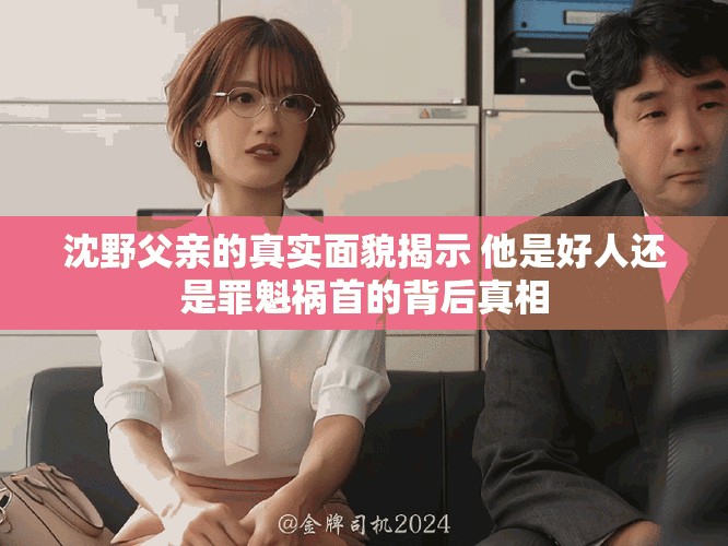 沈野父亲的真实面貌揭示 他是好人还是罪魁祸首的背后真相