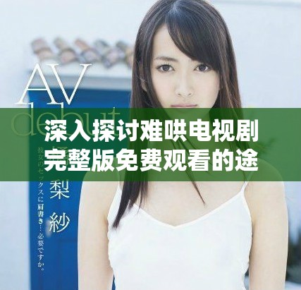 深入探讨难哄电视剧完整版免费观看的途径及观看体验分享