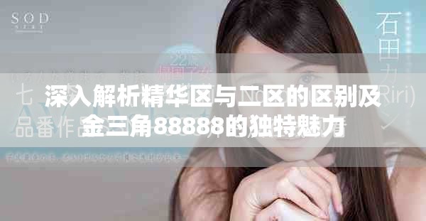 深入解析精华区与二区的区别及金三角88888的独特魅力