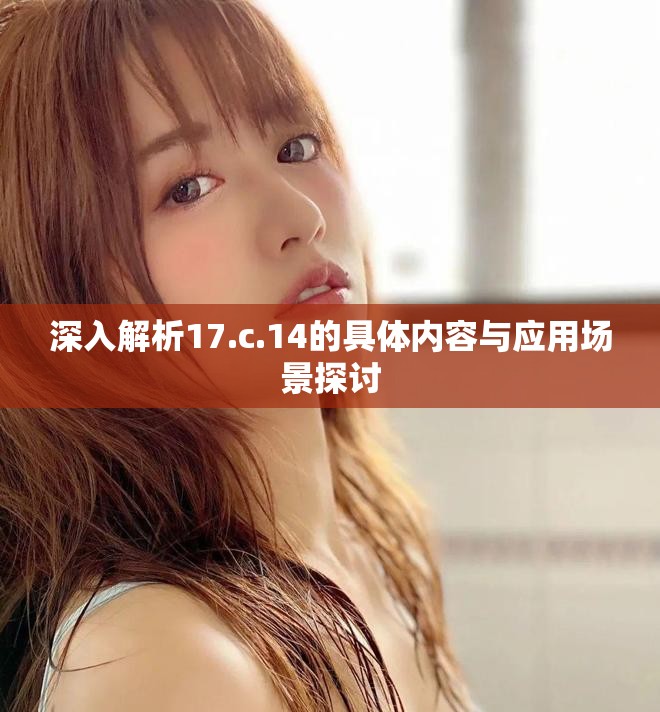 深入解析17.c.14的具体内容与应用场景探讨