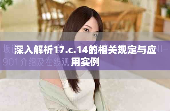 深入解析17.c.14的相关规定与应用实例