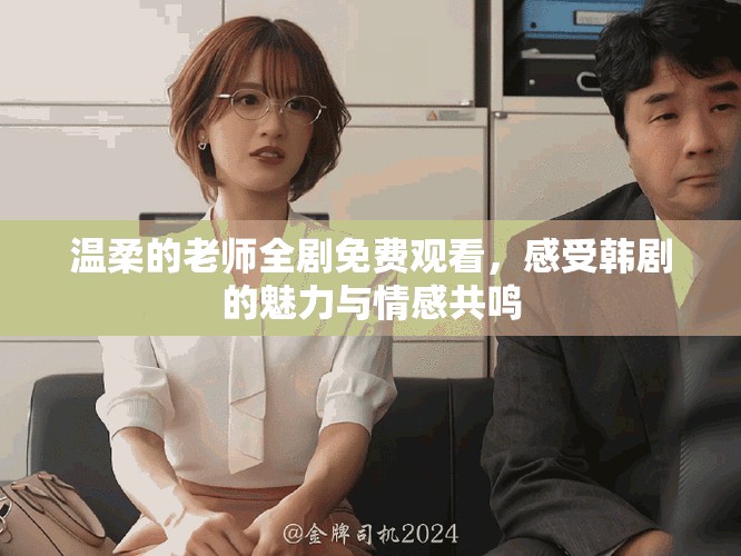 温柔的老师全剧免费观看，感受韩剧的魅力与情感共鸣