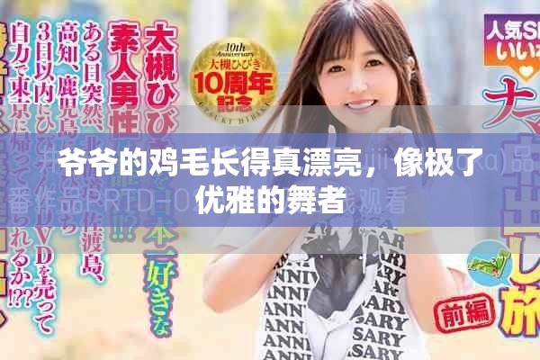 爷爷的鸡毛长得真漂亮，像极了优雅的舞者