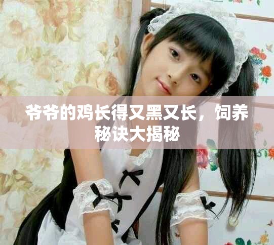 爷爷的鸡长得又黑又长，饲养秘诀大揭秘
