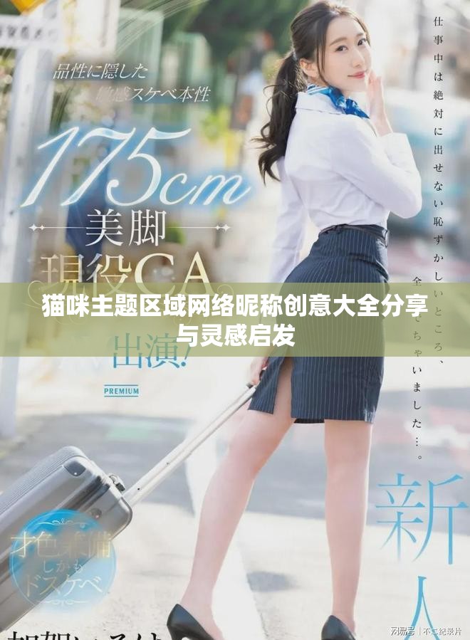 猫咪主题区域网络昵称创意大全分享与灵感启发