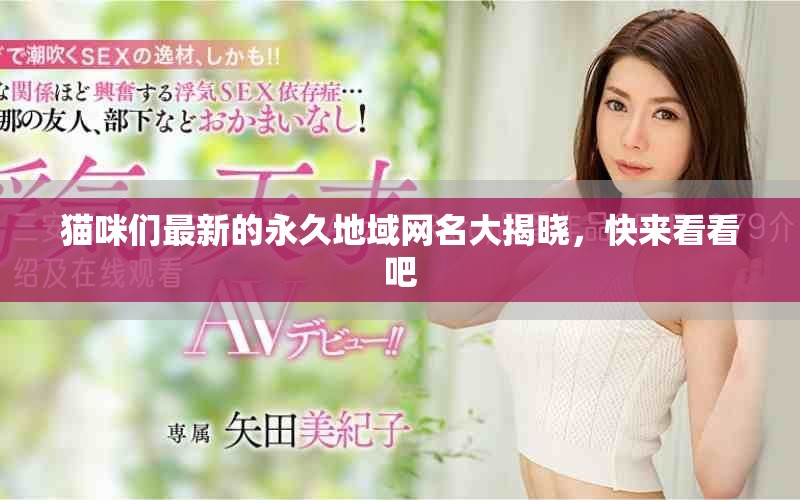 猫咪们最新的永久地域网名大揭晓，快来看看吧