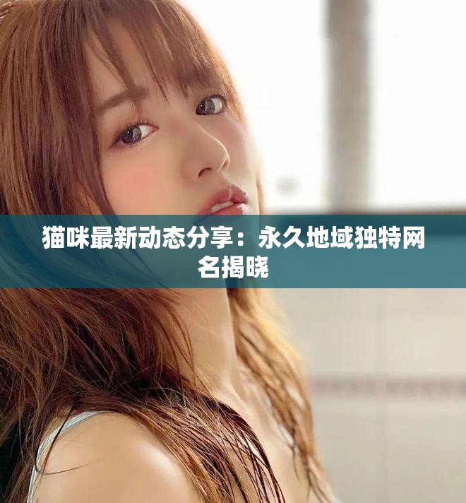 猫咪最新动态分享：永久地域独特网名揭晓