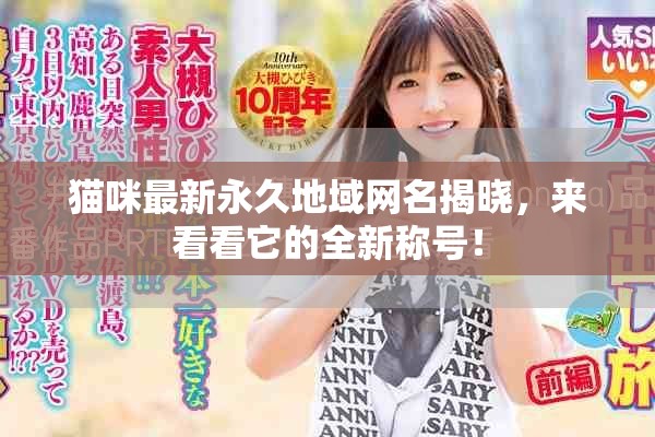 猫咪最新永久地域网名揭晓，来看看它的全新称号！
