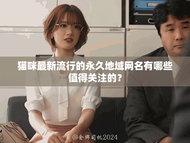 猫咪最新流行的永久地域网名有哪些值得关注的？