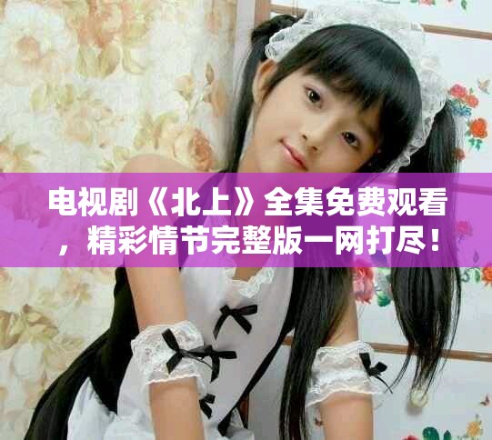 电视剧《北上》全集免费观看，精彩情节完整版一网打尽！