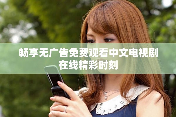 畅享无广告免费观看中文电视剧在线精彩时刻