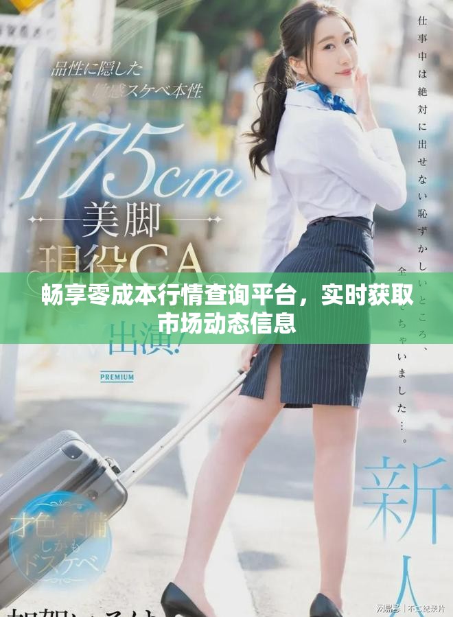畅享零成本行情查询平台，实时获取市场动态信息