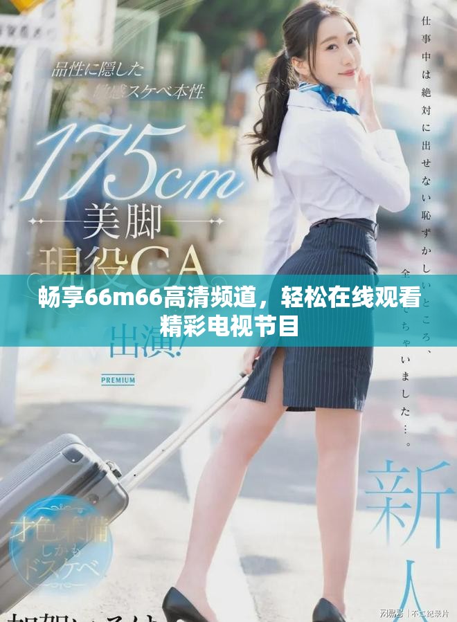 畅享66m66高清频道，轻松在线观看精彩电视节目