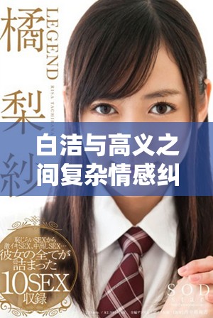 白洁与高义之间复杂情感纠葛的深度探讨与分析