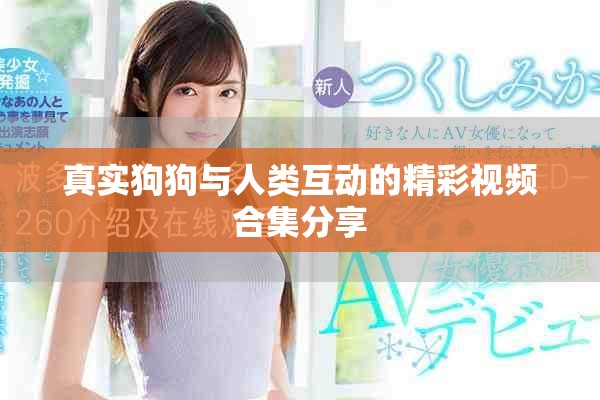真实狗狗与人类互动的精彩视频合集分享
