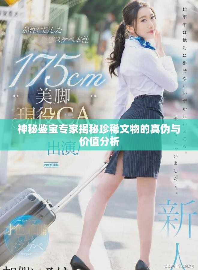 神秘鉴宝专家揭秘珍稀文物的真伪与价值分析