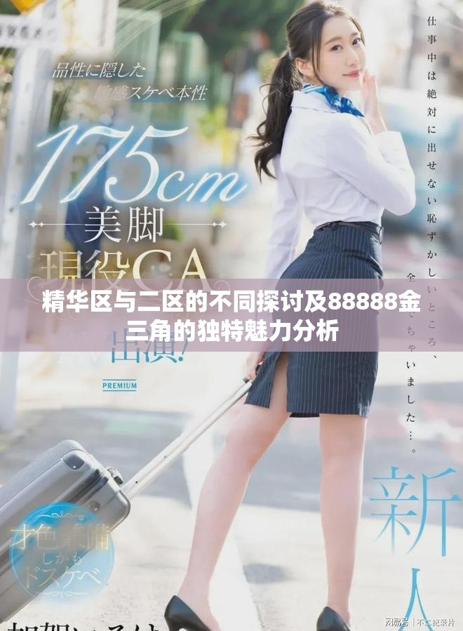 精华区与二区的不同探讨及88888金三角的独特魅力分析