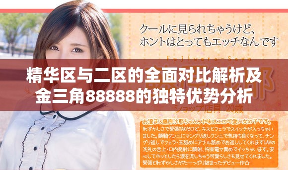 精华区与二区的全面对比解析及金三角88888的独特优势分析