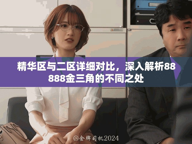精华区与二区详细对比，深入解析88888金三角的不同之处