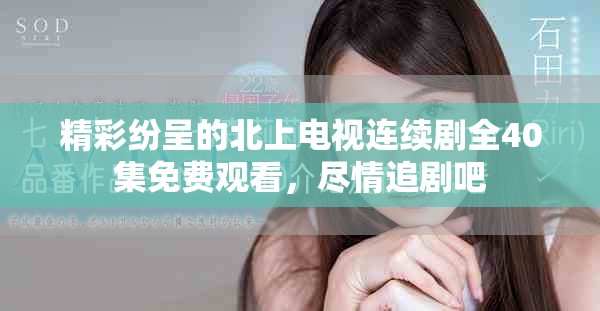 精彩纷呈的北上电视连续剧全40集免费观看，尽情追剧吧