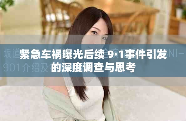 紧急车祸曝光后续 9·1事件引发的深度调查与思考