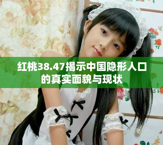 红桃38.47揭示中国隐形人口的真实面貌与现状