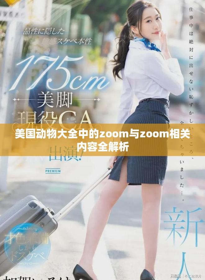 美国动物大全中的zoom与zoom相关内容全解析