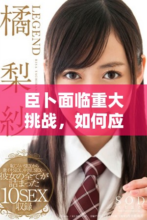 臣卜面临重大挑战，如何应对变化和压力的难题