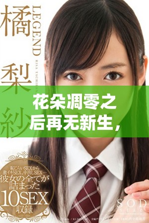 花朵凋零之后再无新生，感悟生命的短暂与珍贵