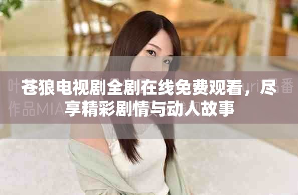 苍狼电视剧全剧在线免费观看，尽享精彩剧情与动人故事