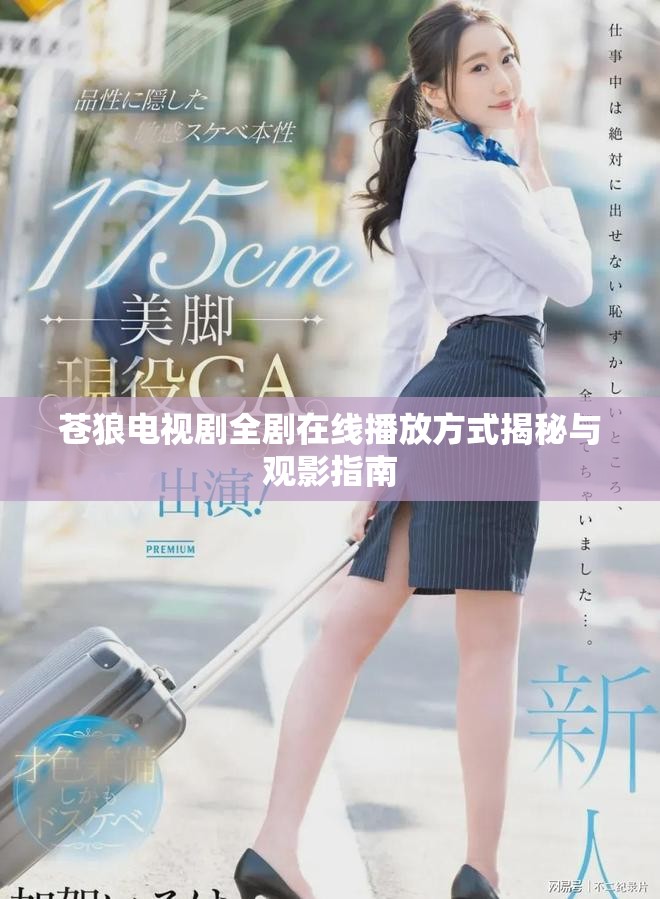 苍狼电视剧全剧在线播放方式揭秘与观影指南