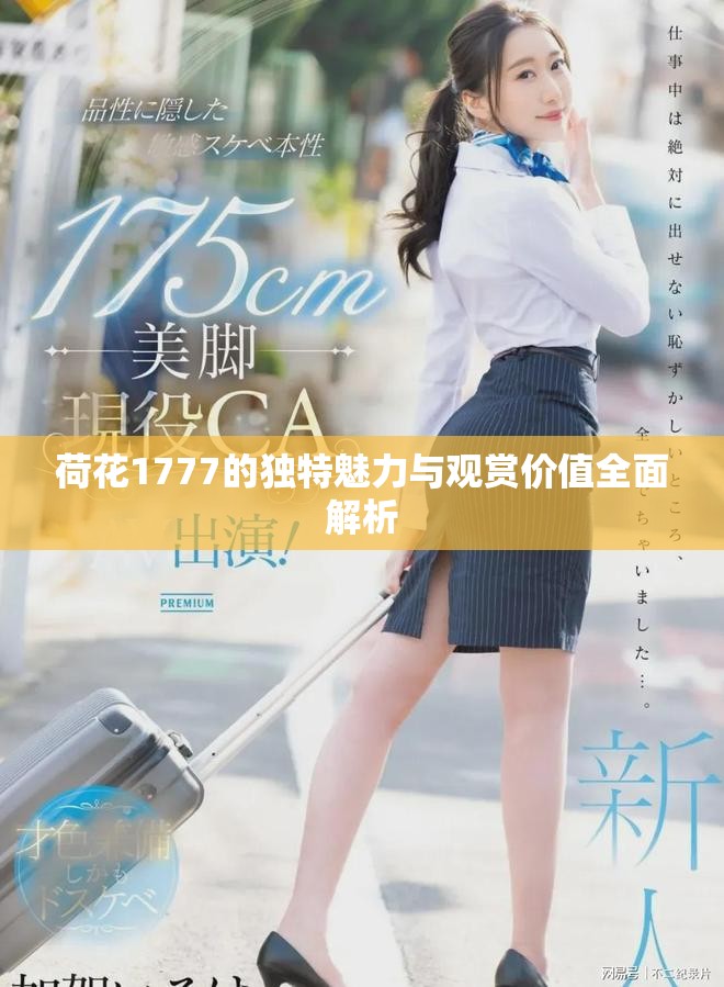 荷花1777的独特魅力与观赏价值全面解析