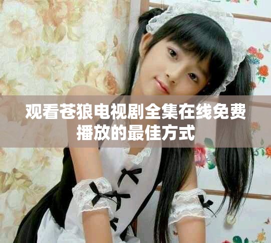 观看苍狼电视剧全集在线免费播放的最佳方式