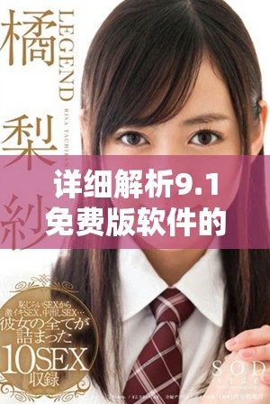 详细解析9.1免费版软件的操作步骤与使用技巧