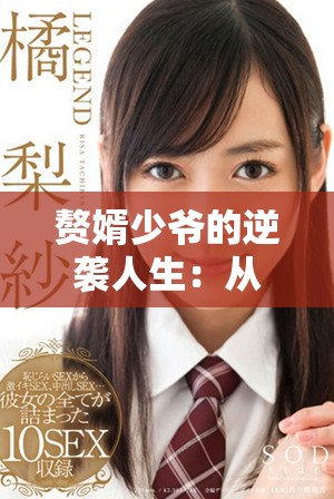 赘婿少爷的逆袭人生：从平凡到辉煌的成长之路