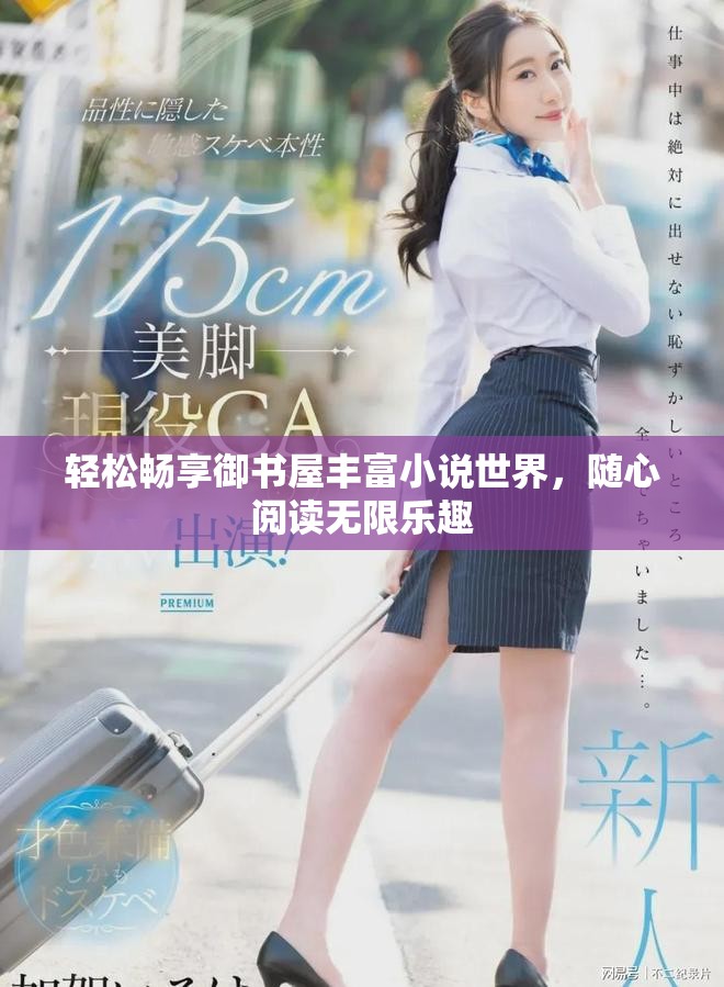 轻松畅享御书屋丰富小说世界，随心阅读无限乐趣